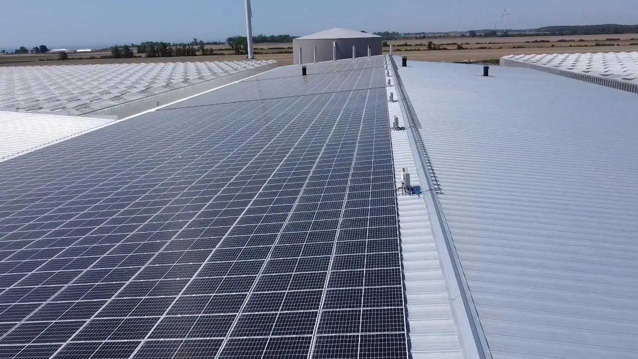 Solar in a greenhouse